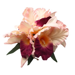 nCA wANbv t t_Xߑ S[WXI[LbhwANbv LTCY sNp[v