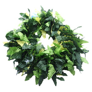 nCA C t t_Xߑ t[C nCA wbhoh NvNvt@[ _u