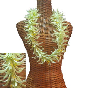 nCA C t t_Xߑ t[C lC XpC_[[C O[