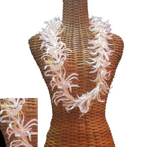 nCA C t t_Xߑ t[C lC XpC_[[C sN