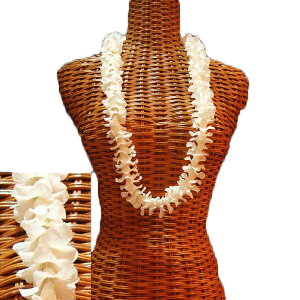 nCA C t t_Xߑ t[C ׂ߂̉炵 vAPjPjC zCg