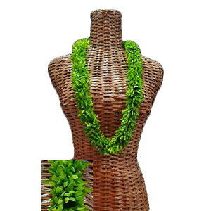 nCA C t t_Xߑ t[C Y O[[Y_uC