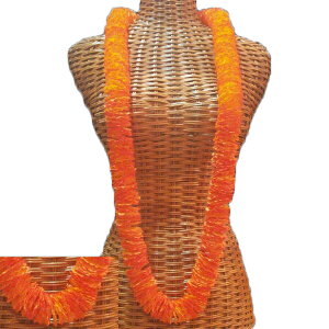 nCA C t t_Xߑ t[C ЂƂ͎Ă C}OC IW