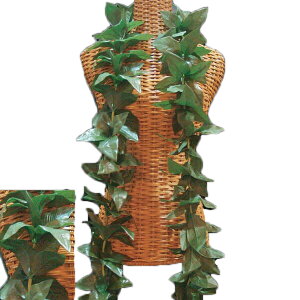 nCA C t t_Xߑ t[C ZO[̂肵 An}CI[vC