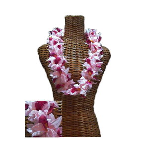 nCA C t t_Xߑ t[C o_I[Lbh_uC sN