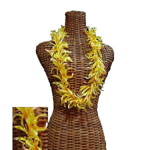 nCA C t t_Xߑ t[C lC XpC_[[C CG[