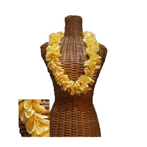 nCA C t t_Xߑ t[C JqWW[C CG[