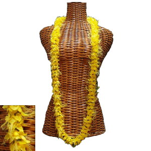 nCA C t t_Xߑ t[C InCACOC CG[