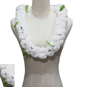 nCA C t t_Xߑ t[C J[l[V pA_uC zCg