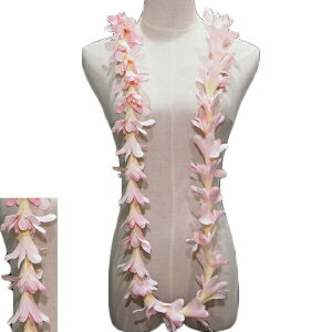 nCA C t t_Xߑ t[C ACh`[u[YOC sN