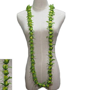 nCA C t t_Xߑ t[C j[[YobhOC O[