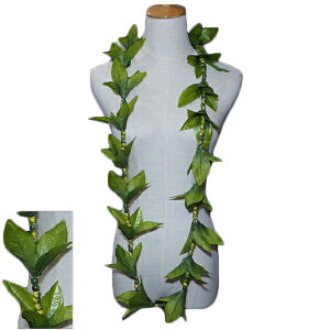 nCA C t t_Xߑ t[C Lni}C C