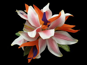 nCA wANbv t t_Xߑ sN[o[hIup_CXwANbv