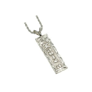 nCAWG[ tbgv[gvA背^[Vo[gbv@I[_[Ch