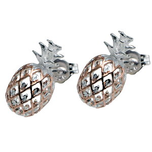 nCAWG[ sAX CO Vo[ sNS[h 2g[ pCibv |Xg^Cv  pC