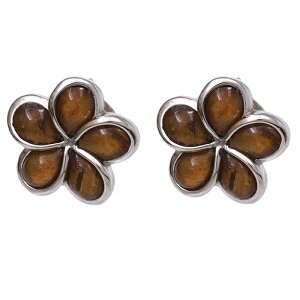 nCAWG[ sAX CO nCA RAEbh ~jvAsAX fB[X Vo[ WER[eBO vA