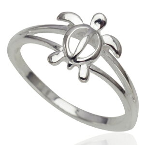 nCAWG[ O Vo[O zkO Y fB[X w Vo[ zk 4-18