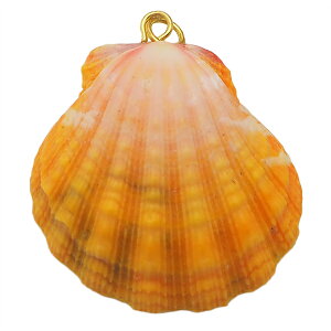 TCYVF nC̑厩Ro󏭂ȃTCYVFlbNX