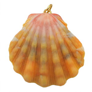 TCYVF nC̑厩Ro󏭂ȃTCYVFlbNX