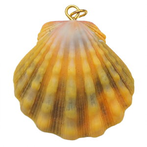 TCYVF nC̑厩Ro󏭂ȃTCYVFlbNX