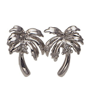 nCAWG[ p[c[sAX WER[eBO@V̖