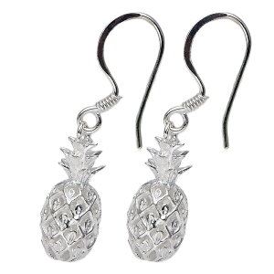 nCAWG[ sAX CO pCtbNsAX fB[X Vo[ pCibv