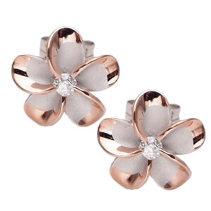 nCAWG[ sAX CO TChsNS[hR[eBO WER[eBO 12mmvAsAX fB[X Vo[