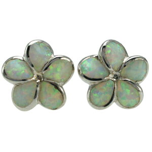 nCAWG[ sAX CO zCgIp[ vAsAX WER[eBO fB[X Vo[ vA