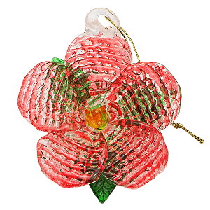 nCAG nCG NX}X I[ig nCANX}XI[ig JL}J T^ KX nCrXJX