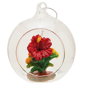 nCAG nCG NX}X I[ig nCANX}XI[ig JL}J T^ An