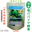 生きてる★【国産】青パパイヤ酵素プレミアム ★1年半熟成発酵 無農薬 無添加 ★非加熱酵素 ★52種類複合菌発酵 乳酸菌 酪酸菌 酵母菌 豊富アミノ酸 ★糖質脂質カロリー 分解 消化 酵素元気 酵素 90 g 3gx30包 本格酵素