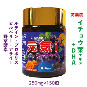 ポイント10倍★高吸収 イチョウ葉エキス ルテイン★ 高濃度 DHA EPA ビルベリー アサイーエキス プロポリス 野草酵素 アロエベラ メモリー くっきり クリア アイノウ 記憶 無添加 国産