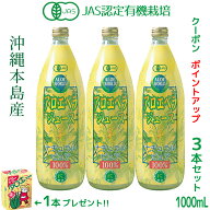 （JAS認定 有機無農薬）アロエベラジュース100％ 1000mlx3本 沖縄本島産 新鮮アロエベラジュース 無添加 …