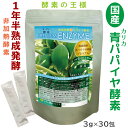 生きている！【国産】青パパイヤ酵素プレミアム ★1年半熟成発酵 無農薬 無添加 ★非加熱 消化分解酵素 ★52種類複合菌発酵 発酵食物繊維 豊富なアミノ酸 ★青パパイヤ酵素 90g 3gx30包 カリカパパイヤ 本格派酵素