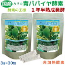 生きている！★国産 青パパイヤ酵素プレミアム ★1年半熟成発酵 無農薬 無添加 ★非加熱酵素 ★52種類複合菌発酵 豊富アミノ酸 ★ カリカパパイヤ 3gx30包 酵素 健康美 お得な2袋セット