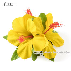 yV1ʁ3]5.0 t_X  wANbv t_Xߑ ԏ nCAt nCrXJX  9J[