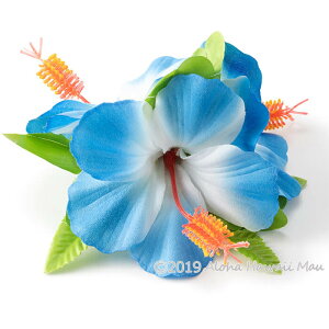 yV1ʁ3]5.0 t_X  wANbv t_Xߑ ԏ nCAt nCrXJX  9J[