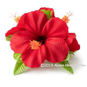 yV1ʁ3]5.0 t_X  wANbv t_Xߑ ԏ nCAt nCrXJX  9J[