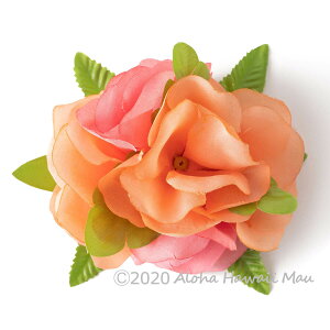 yV1 t_X  t_Xߑ tK[ Ԃ̃wANbv tRR t[11J[  C   sN F   t_X nC t