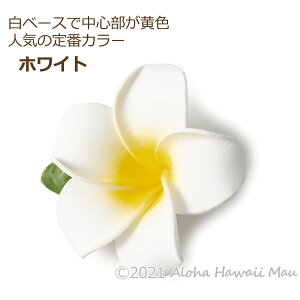 yV1 t_X  vA vA wANbv t  t_Xߑ nC t[Nbv ][gEGfBO \ EN a l Ǝ Cx