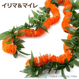 ウクレレ グリーン スポーツの人気商品 通販 価格比較 価格 Com