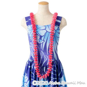 yV1 t_X C ~jJ[l[VOC t_Xߑ J[l[V fBXvC  t_Xߑ t[C  [Y sN  Ԃ̎ Ԃ̃C t 