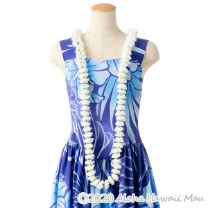 yV1 t_X C ~jJ[l[VOC t_Xߑ J[l[V fBXvC  t_Xߑ t[C  [Y sN  Ԃ̎ Ԃ̃C t 