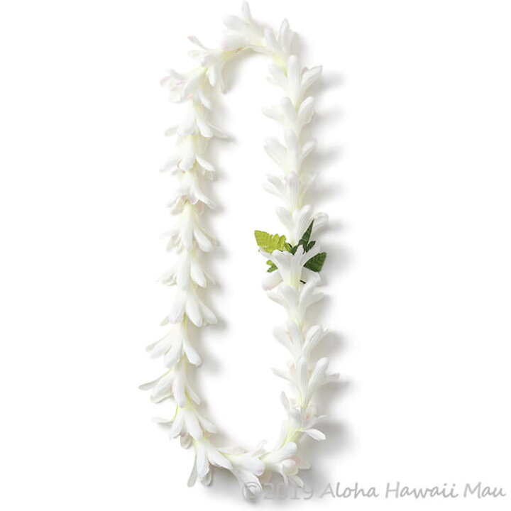 楽天市場 フラダンスレイ チューブローズ ホワイト グリーン ハワイ レイ 白の花 首飾り ハワイの花 フラダンス 衣装 ハワイアン雑貨 アロハ ハワイマウ