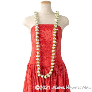 yV1 t_X C X[[Yobh OC Iׂ7J[ nCAC o ~jo t_XC zCP t nCAt \ CeA  Ԃ̎ 