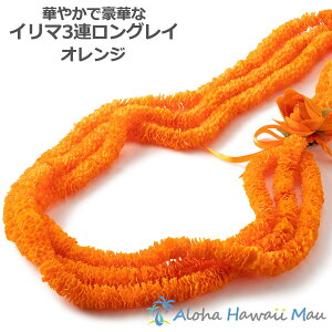 t_X C C}OC 3A IW nC t C nCAC t_X IWF̃C Ԃ̎