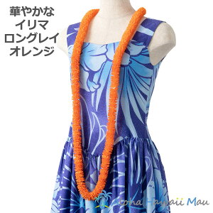 t_X C C}OC IW nC t C nCAC t_X IWF̃C Ԃ̎