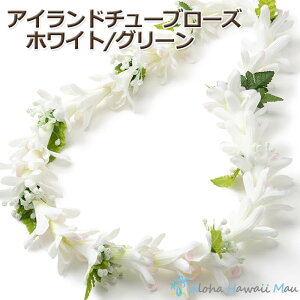 t_XC `[u[Y zCgEO[ nCC `[x[Y cx[Y t_Xߑ