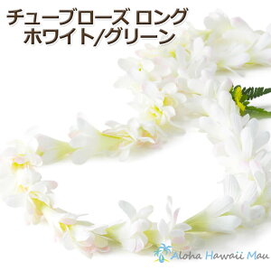 t_X C `[u[YOC zCgO[ `[x[Y cx[Y t_Xߑ zCgC