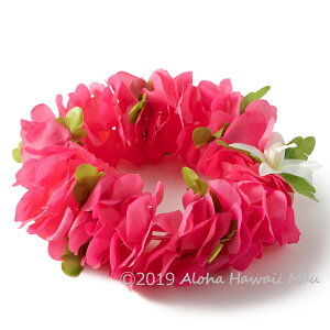 yV1ʁ3 Ԋ nN C|I t_Xwbhoh t[wbhoh 11J[  F  sN u[ 